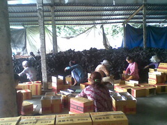 BBQ木炭･レジャー木炭を焼いた農家の人たちが、自ら選別･検量･包装します｡株式会社 JIC / ジェイ・アイ・シーでは、全量買い上げ日本に輸出しています｡